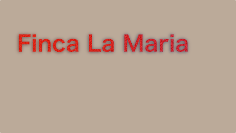 Finca La Maria