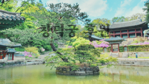 Korean Royal Garden