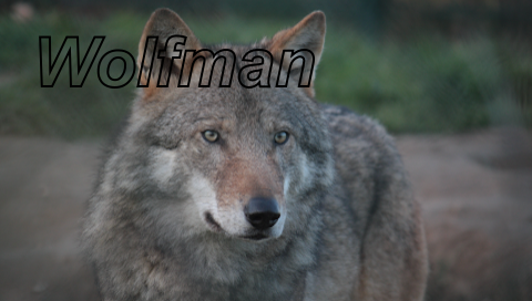 Wolfman